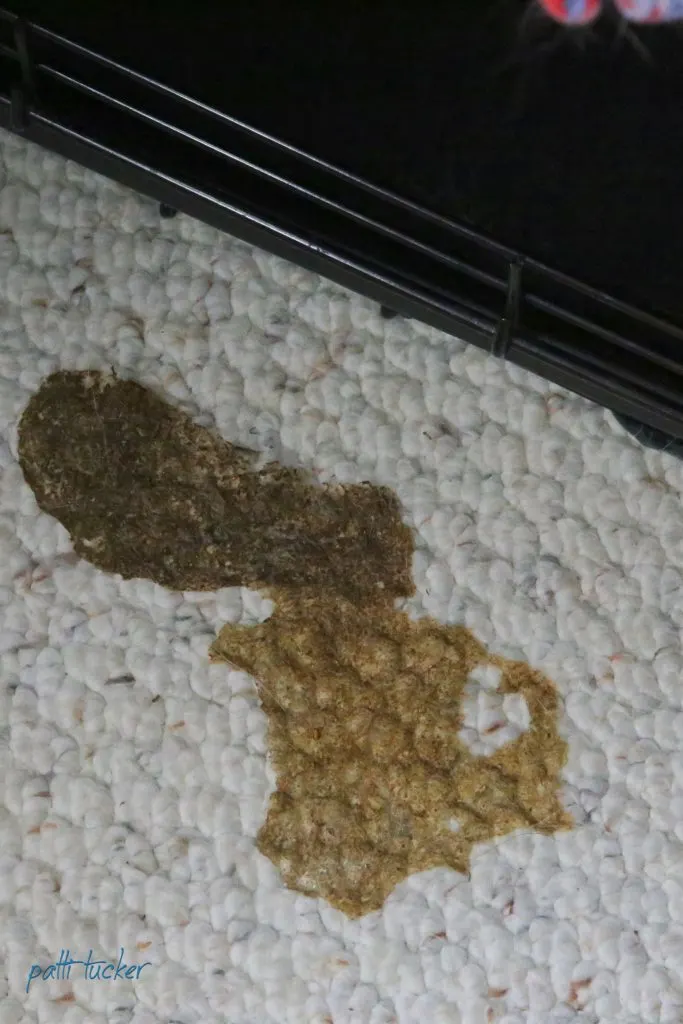 How To Use The Last Carpet Spot Cleaner You'll Ever Need