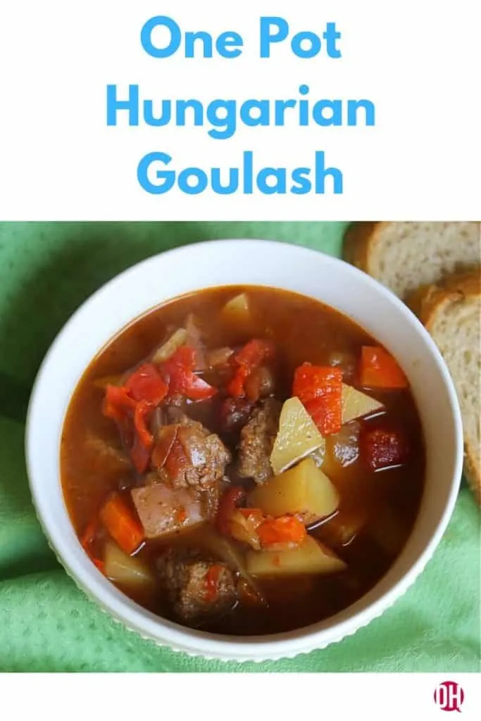 bowl of hungarian goulash
