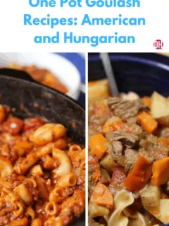 side by side bowls of american and hungarian goulash