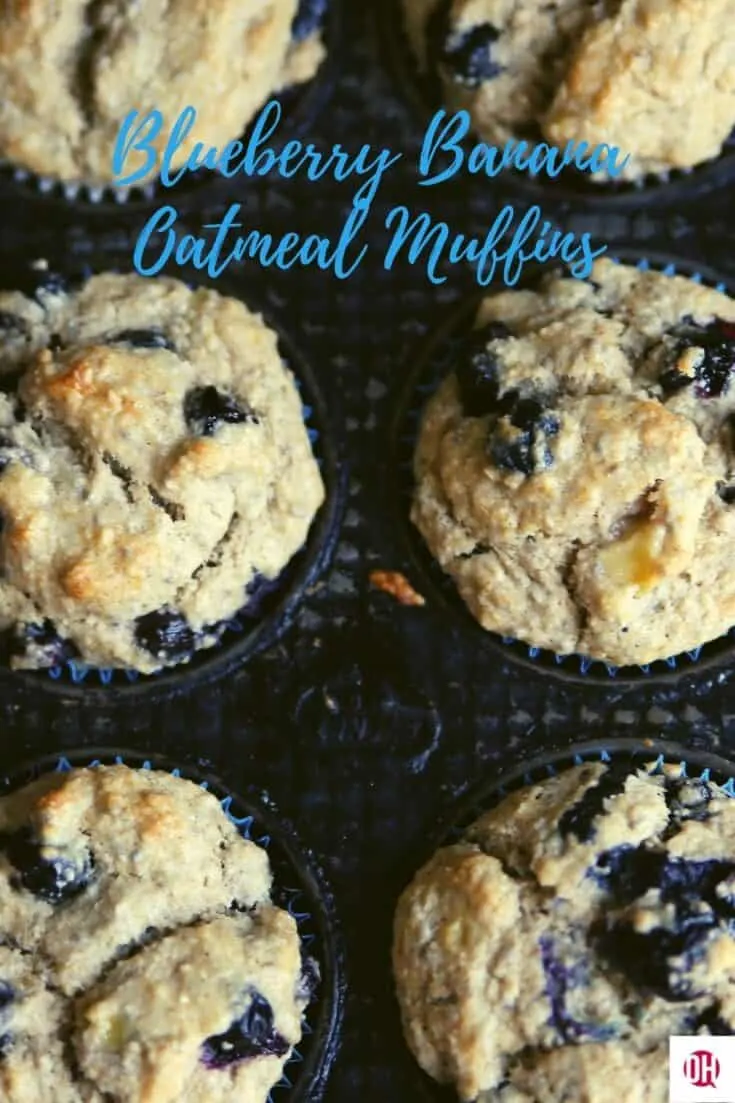 blueberry muffins still in tin