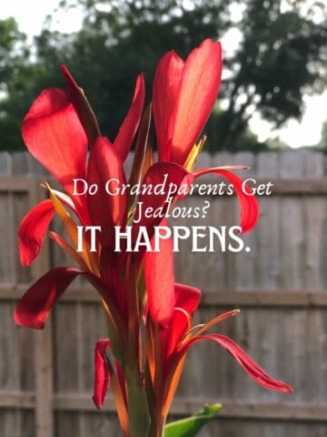 red canna bloom with overlay text graphic