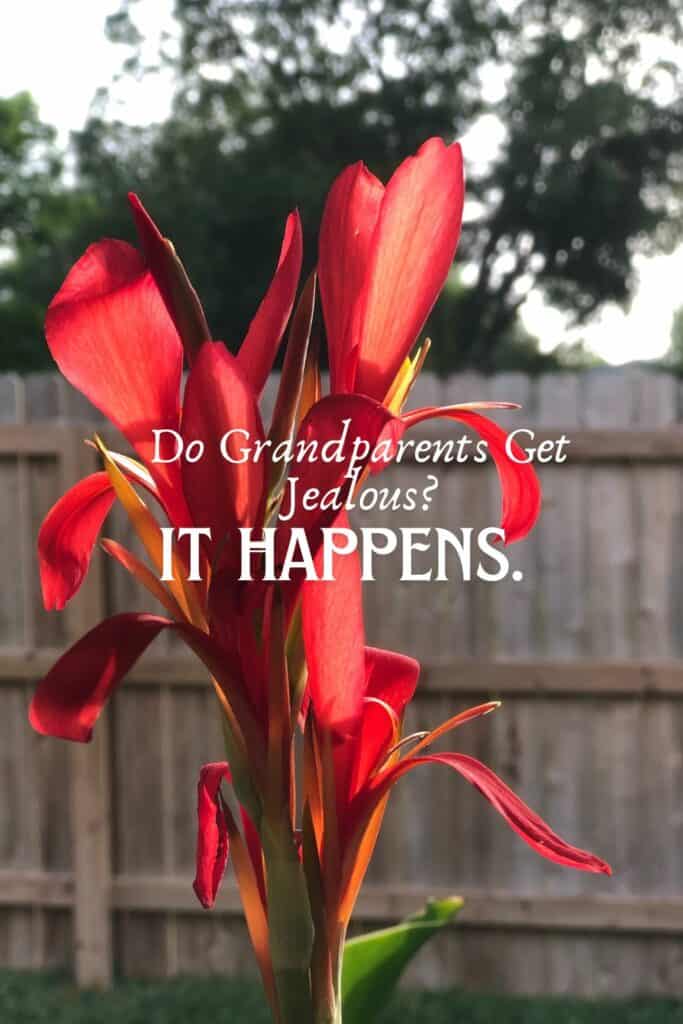 red canna bloom with overlay text graphic