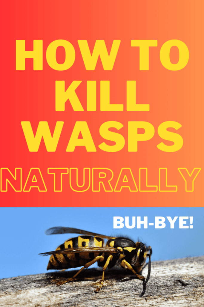 graphic text with pic of wasp - how to kill wasps naturally