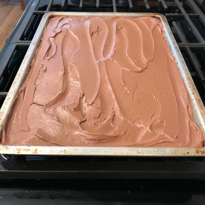 sheet cake with chocolate frosting in a pan